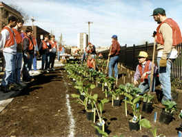 People in orange vests in field