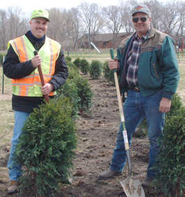 2 men planting trees