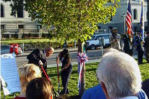 Man, woman planting tree