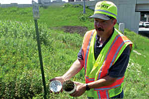 Man releasing beetles outdoors