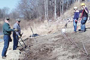 Bioengineering a riverbank
