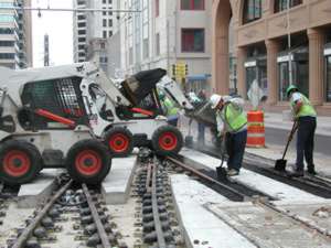 Bobcats on LRT