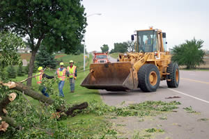 Crews clear downed trees