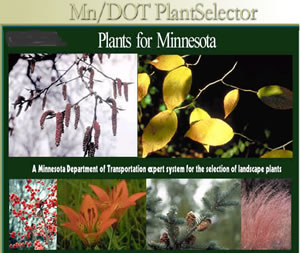 PlantSelector Web site