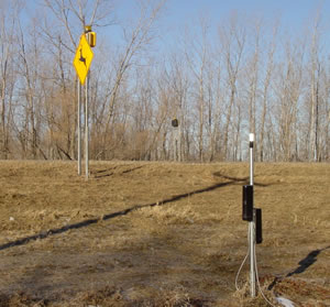 Flashing deer warning signs