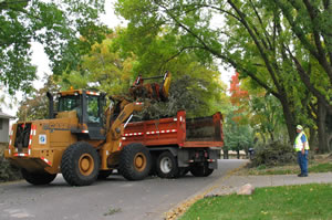 Storm cleanup