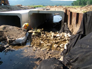 Man in culvert