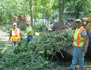 3 men removing tree debris