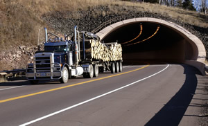 Flatbet truck hauling logs