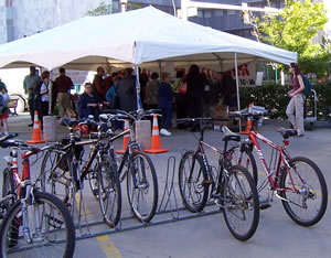 Bikes in rack