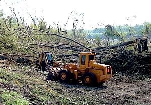 Two loaders clear tree debris