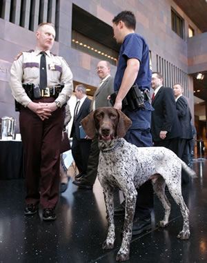 Bomb-sniffing dog