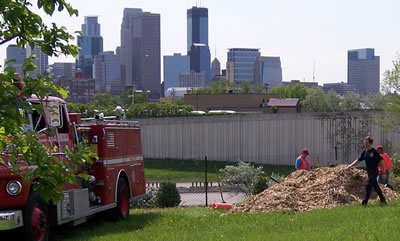 Mpls skyline behind tree planting