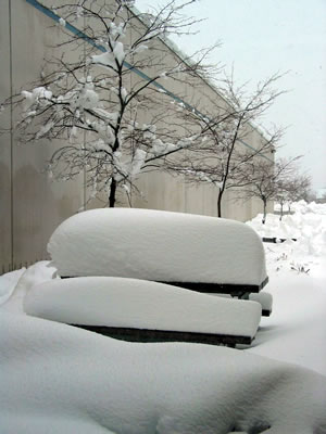 Snow covered picnic table