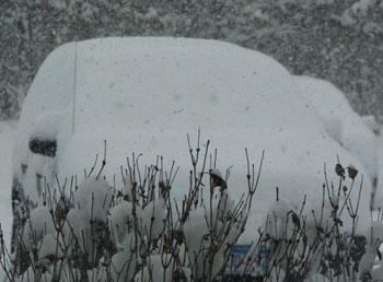 car in snow