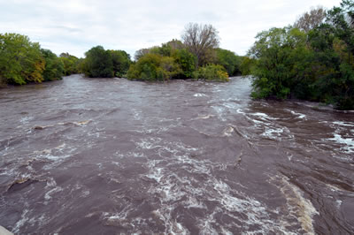 Cannon River under Hwy 52