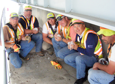 Photo of District 6 bridge office employees with falcon chicks.