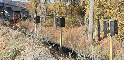 Photo of bunkers built for bats.