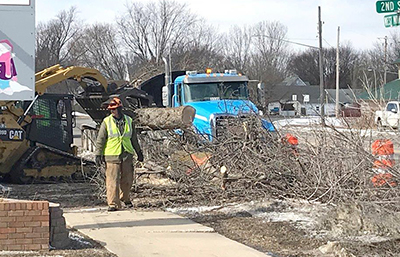 Photo of tree cutting as part of construction in Glenwood.