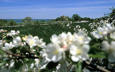 Photo of Apple Blossom Scenic Drive.