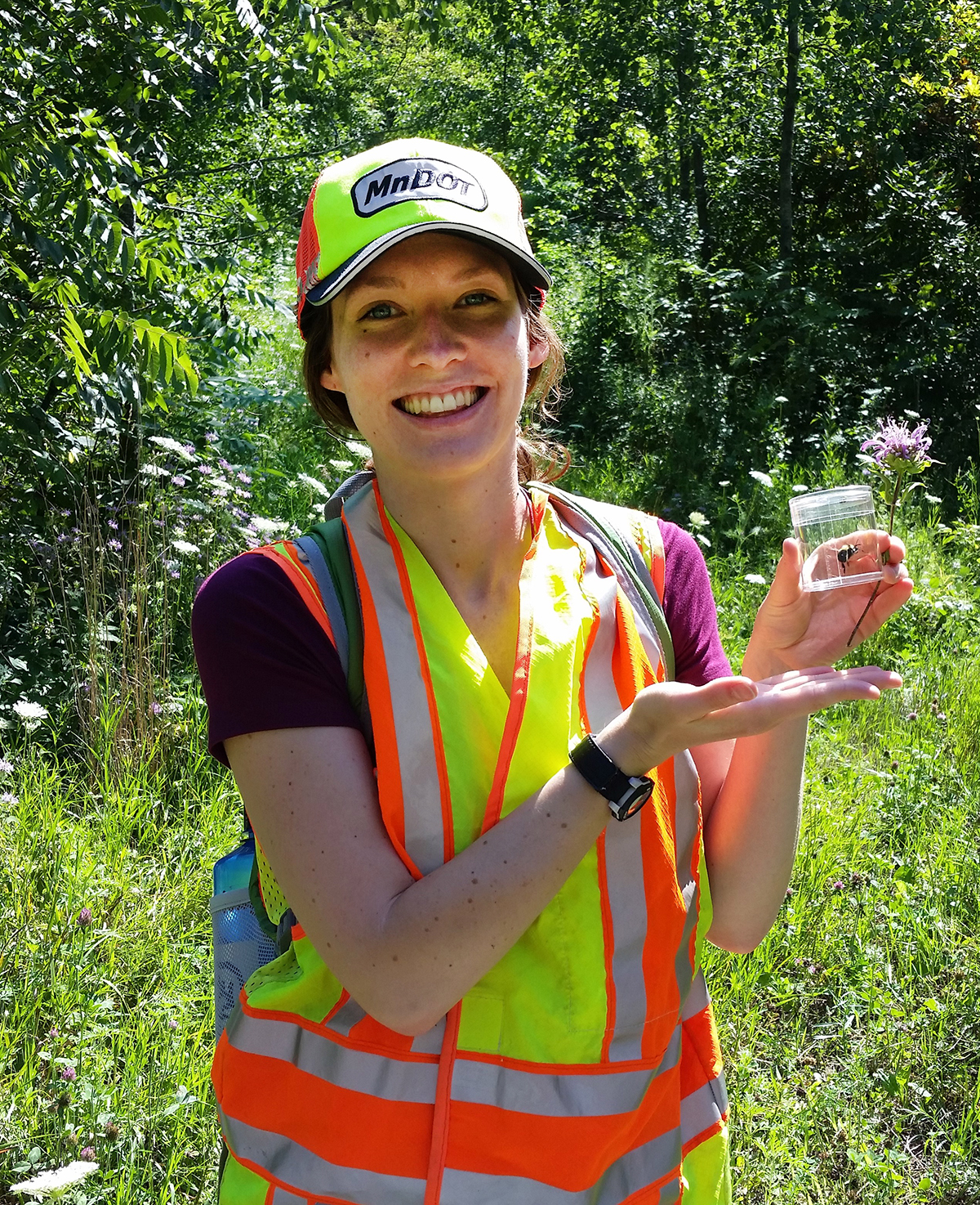 Picture of woman in a safety vest holding a small container containing a bee