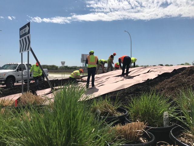 Picture of work crew putting plantings in the middle of a roundabout on a sunny day.