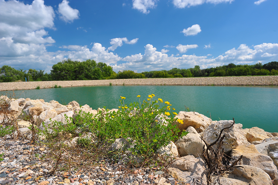 Photo: Wastewater pond