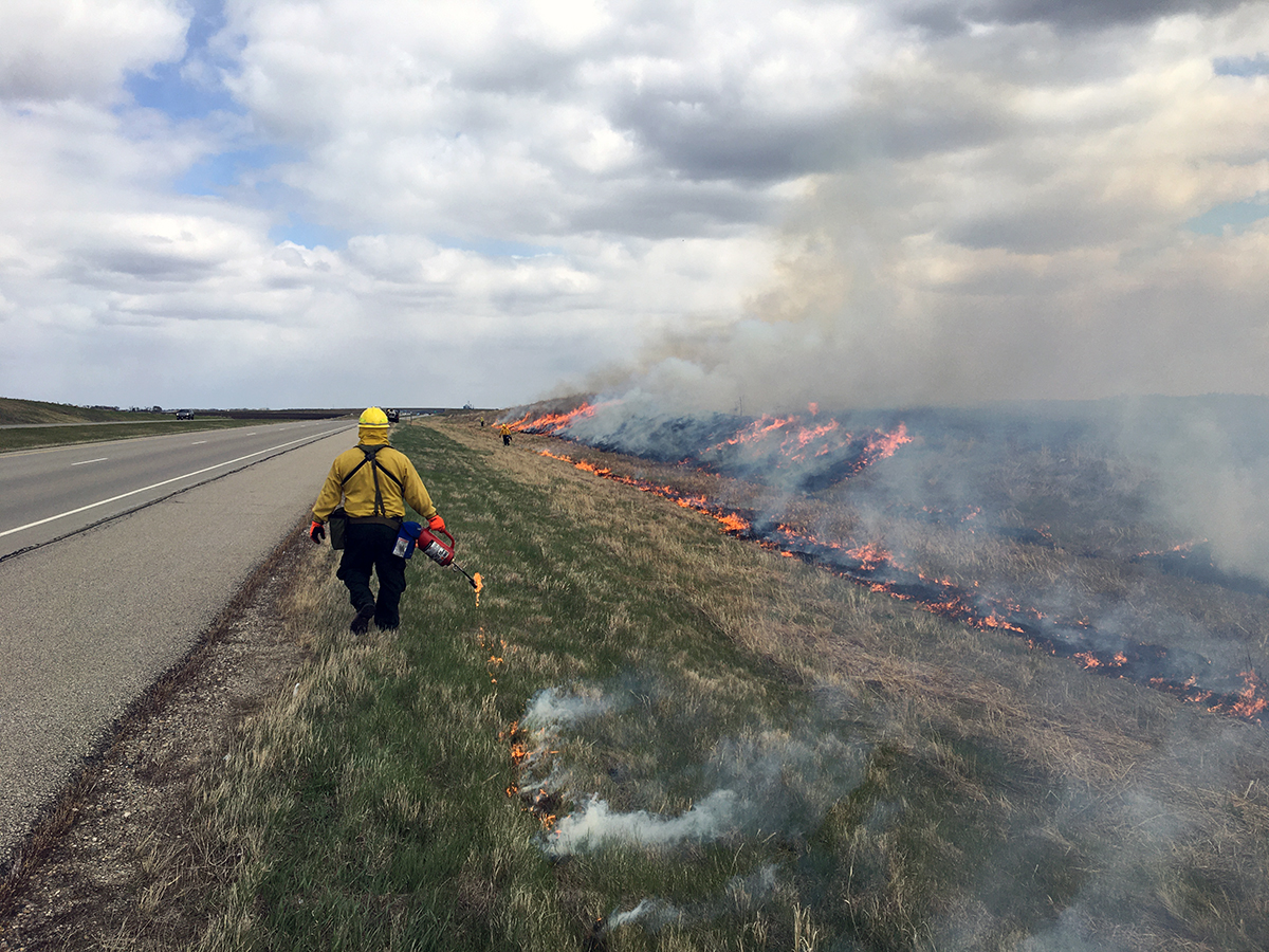 Photo: a MnDOT worker standing near a smoldering line of grass