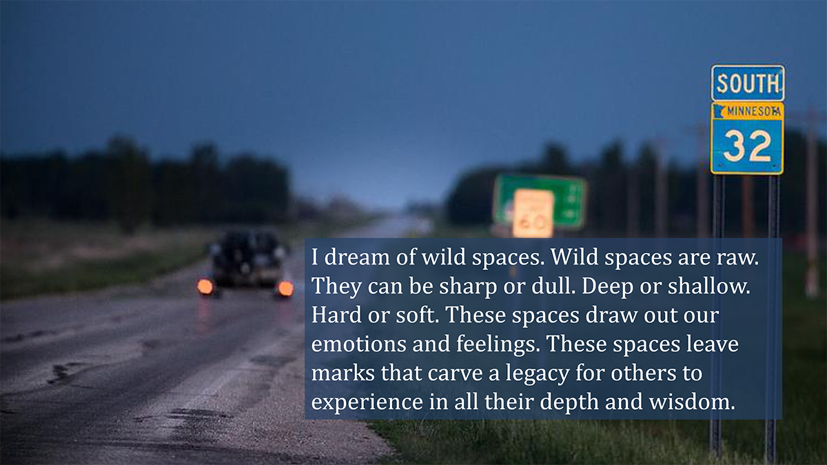 Photo: words superimposed over a photo of a Minnesota highway. The words say I dream of wild spaces. Wild spaces are raw. They can be sharp or dull. Deep or shallow. Hard or soft. These spaces draw out our emotions and feelings. These spaces leave marks that carve a legacy for others to experience in all their depth and wisdom.